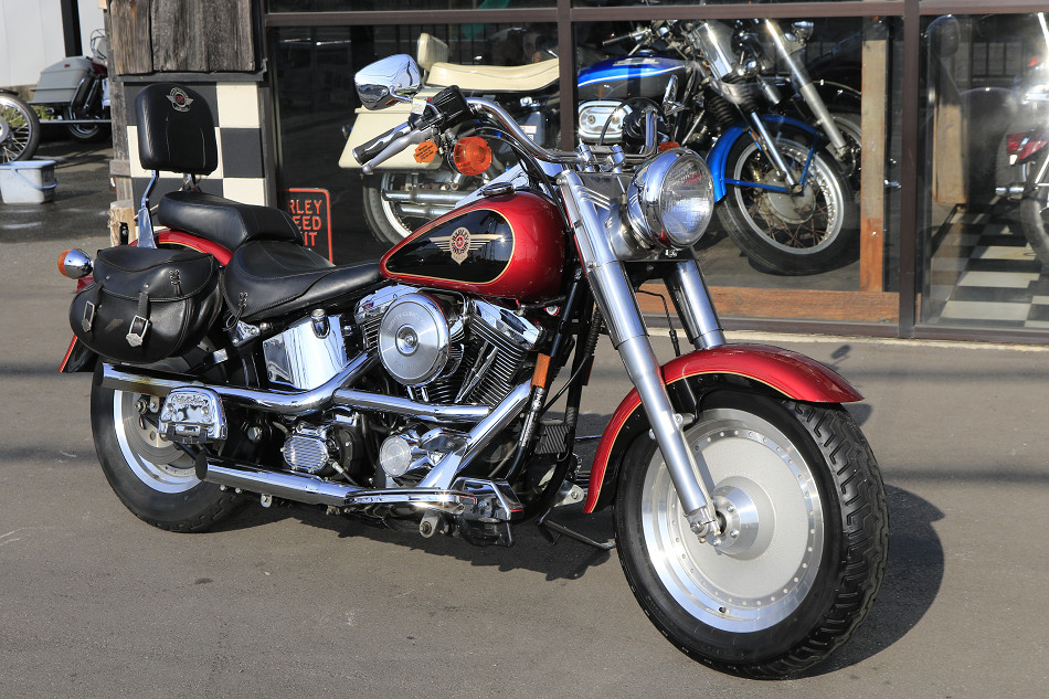 ���C���ʐ^